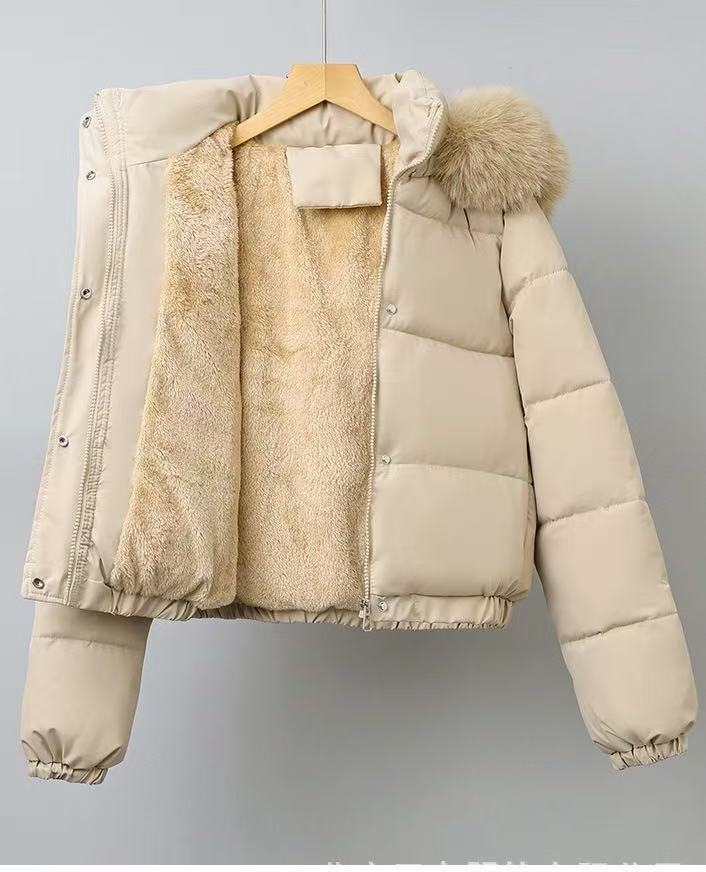 T588-737 Warm inside, warm jacket, cotton jacket