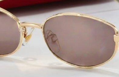 T588-1003 Elliptical irregular blackout sunglasses